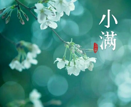 2018小滿節氣早安心語 小滿節氣祝福問候語大全2018 2018小滿節氣早安心語 小滿節氣祝福問候語大全2018