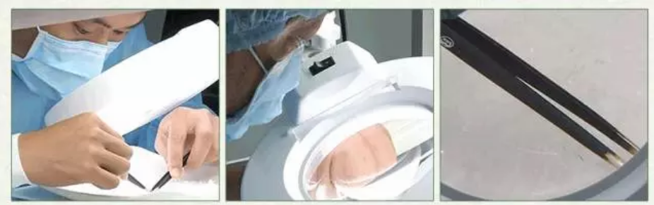 如何鑒別燕窩的好壞 親滋味燕窩能去除妊娠紋嗎