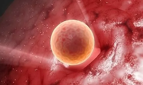 試管嬰兒移植時間可以自己定嗎 試管嬰兒移植時間多久 試管嬰兒移植時間可以自己定嗎 試管嬰兒移植時間多久