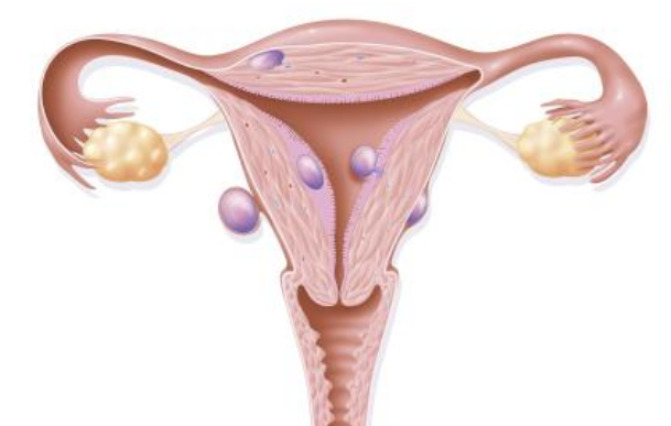 試管嬰兒?jiǎn)翁ルp胎什么時(shí)候知道 試管嬰兒第14天的抽血能判斷有幾胎嗎 試管嬰兒?jiǎn)翁ルp胎什么時(shí)候知道 試管嬰兒第14天的抽血能判斷有幾胎嗎