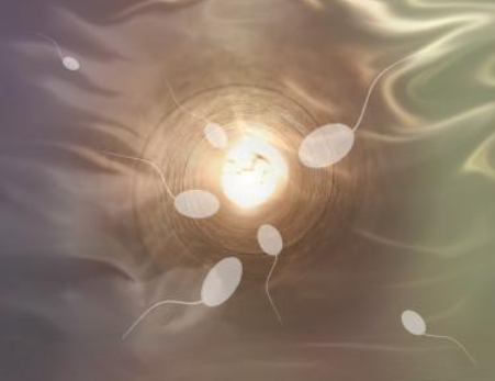 做試管嬰兒什么時(shí)候可以吃魚 試管嬰兒取卵后不能吃什么 做試管嬰兒什么時(shí)候可以吃魚 試管嬰兒取卵后不能吃什么