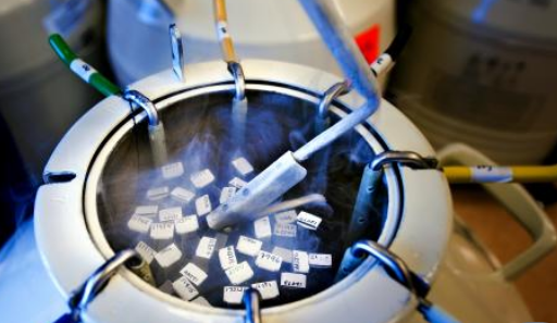 試管嬰胚胎著床子宮腺肌癥怎么辦 有子宮腺肌癥能做試管嬰兒?jiǎn)? alt=