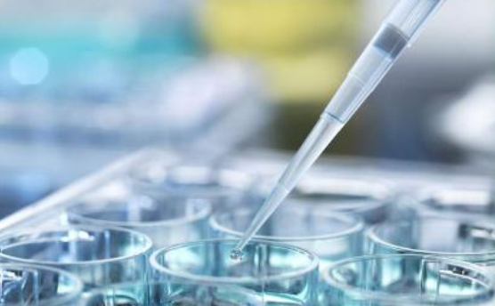 試管嬰兒子宮內膜息肉怎么辦 胚胎著床子宮內膜息肉解決方法