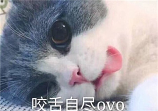 天熱不想出門的心情說說 熱到懷疑人生的經典語錄