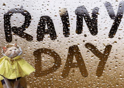 下大雨的心情經典句子  下雨心情說說感悟生活短語