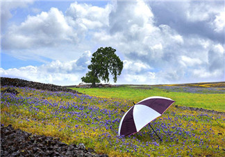 爬山下雨心情說說 2018爬山遇雨的心情短語說說朋友圈 爬山下雨心情說說 2018爬山遇雨的心情短語說說朋友圈