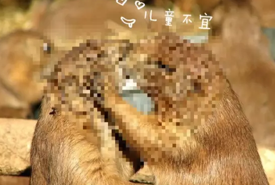 2018異地戀情人節怎么過2018 情人節異地戀怎么秀恩愛 2018異地戀情人節怎么過2018 情人節異地戀怎么秀恩愛