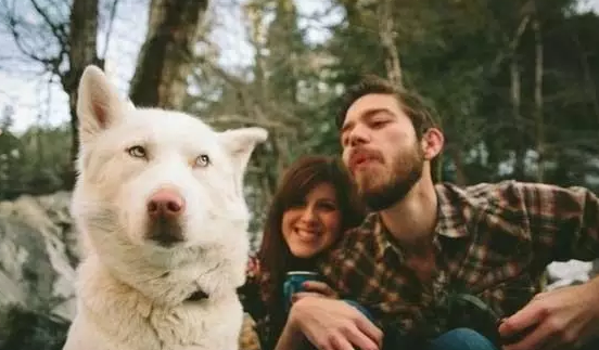單身狗情人節怎么過說說圖片 大學單身狗如何平安度過情人節發朋友圈 單身狗情人節怎么過說說圖片 大學單身狗如何平安度過情人節發朋友圈