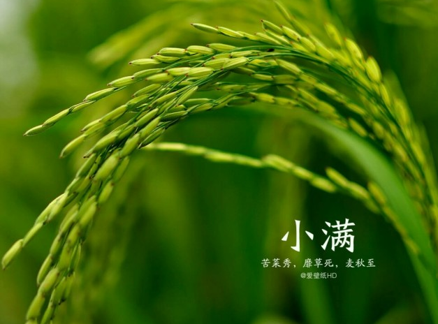 2018小滿節(jié)氣快樂的心情說說 今日小滿快樂的句子短語