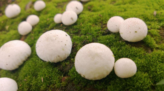 鐘情下雨天的圖片帶字唯美心情說說 2018雨天唯美圖片句子說說朋友圈 鐘情下雨天的圖片帶字唯美心情說說 2018雨天唯美圖片句子說說朋友圈