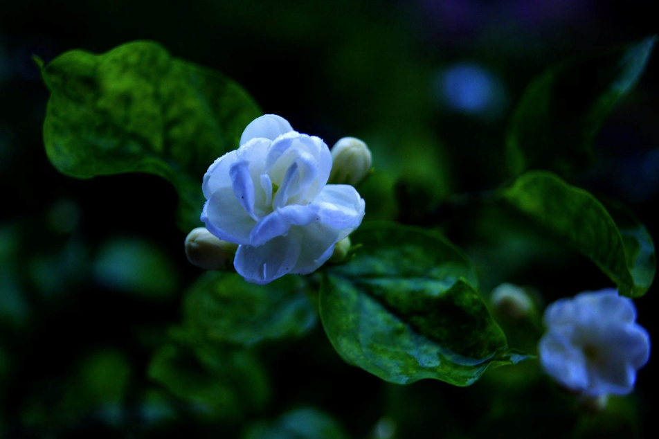 鐘情下雨天的圖片帶字唯美心情說說 2018雨天唯美圖片句子說說朋友圈 鐘情下雨天的圖片帶字唯美心情說說 2018雨天唯美圖片句子說說朋友圈