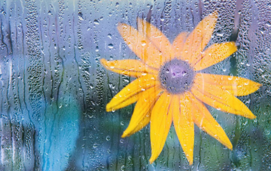 2018描寫淋雨的心情說說 下雨被淋濕一身的句子說說朋友圈 2018描寫淋雨的心情說說 下雨被淋濕一身的句子說說朋友圈