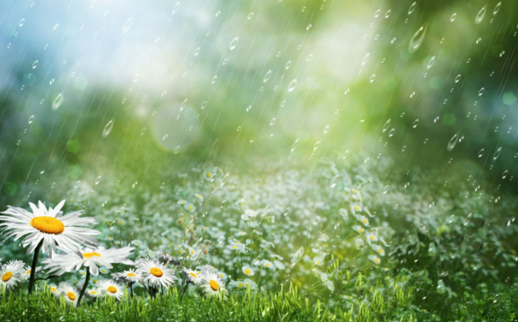 2018描寫淋雨的心情說說 下雨被淋濕一身的句子說說朋友圈 2018描寫淋雨的心情說說 下雨被淋濕一身的句子說說朋友圈