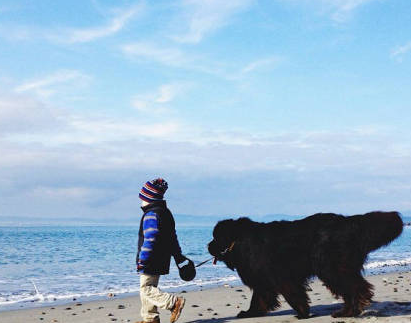 520跟女朋友秀恩愛怎么發朋友圈 跟女朋友秀恩愛的句子短語2018