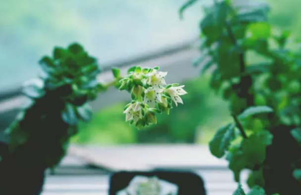 521秀恩愛朋友圈說說 521表白對女朋友的情話 521秀恩愛朋友圈說說 521表白對女朋友的情話