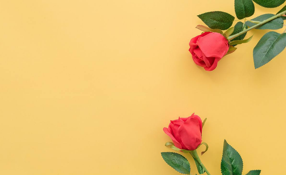 521三行情話簡(jiǎn)短帶圖說(shuō)說(shuō) 2018情話最暖心帶圖短句