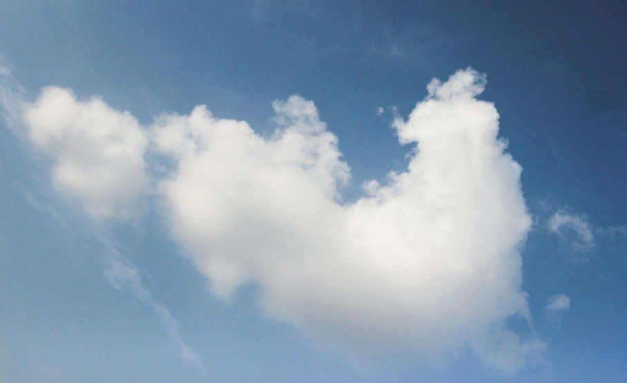 虐心言情現(xiàn)代小說 2018好看的虐心小說整理