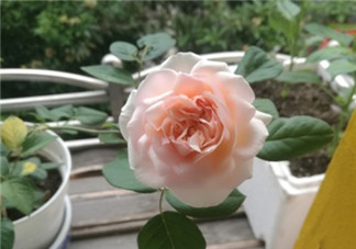 521收到禮物驚喜的心情說說 收到禮物很開心的句子說說短語