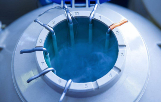 不同種類試管嬰兒之間的區別 試管嬰兒幾代到底有什么區別 不同種類試管嬰兒之間的區別 試管嬰兒幾代到底有什么區別