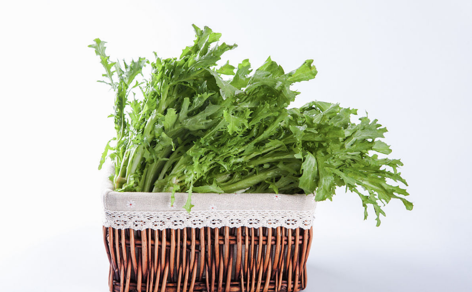 摘野菜住進(jìn)ICU怎么回事 為什么吃野菜會(huì)中毒