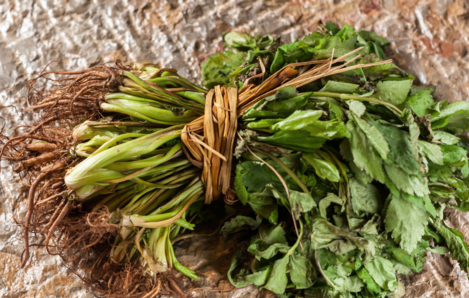 摘野菜住進(jìn)ICU怎么回事 為什么吃野菜會(huì)中毒