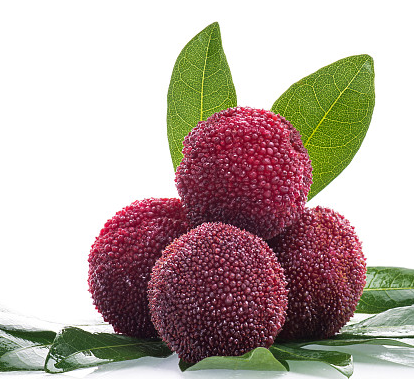 楊梅吃多了會拉肚子嗎 為什么吃楊梅會拉肚子