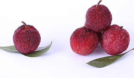 楊梅吃多了會拉肚子嗎 為什么吃楊梅會拉肚子