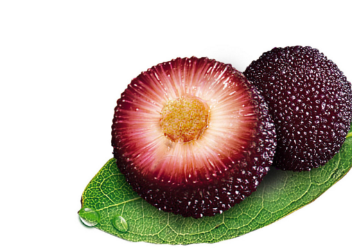 楊梅吃多了會拉肚子嗎 為什么吃楊梅會拉肚子