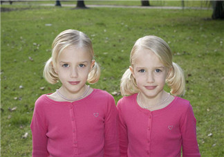 人工受孕與試管嬰兒如何提高雙胞胎機率 正常人懷雙胞胎的幾率 人工受孕與試管嬰兒如何提高雙胞胎機率 正常人懷雙胞胎的幾率