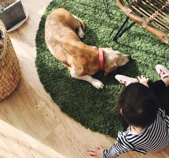 怎么根據小孩性格選擇游戲 靦腆膽怯的孩子玩什么游戲