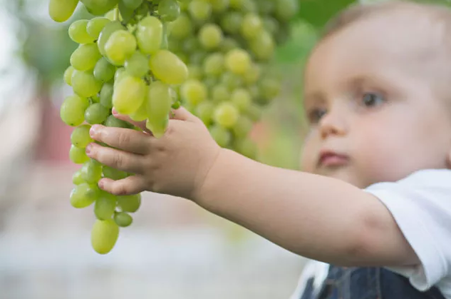 孩子特別的喜歡玩口水好不好 孩子愛玩口水什么原因2018 孩子特別的喜歡玩口水好不好 孩子愛玩口水什么原因2018