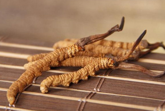 冬蟲夏草小孩子能吃嗎 小孩吃蟲草的危害 冬蟲夏草小孩子能吃嗎 小孩吃蟲草的危害