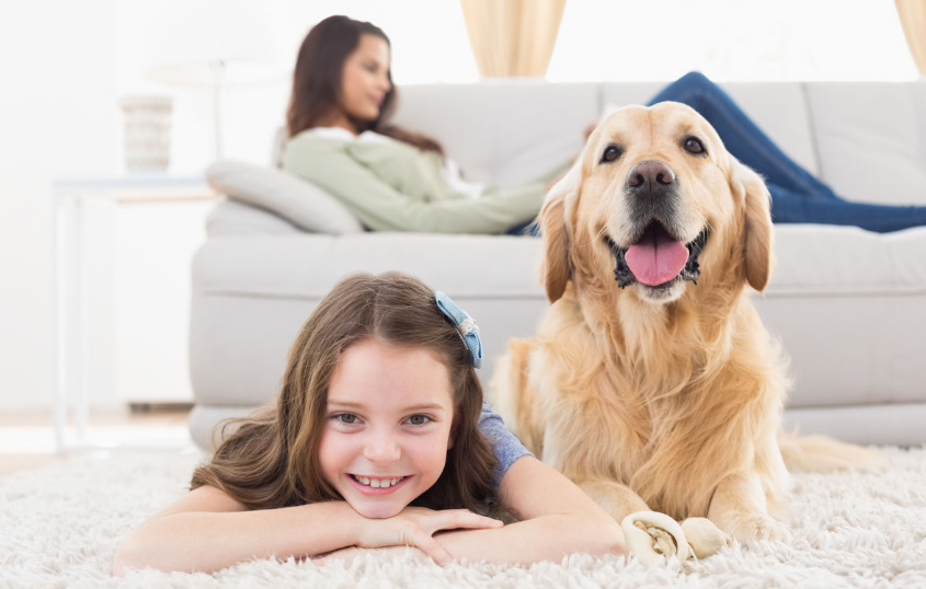 孩子被狗咬了怎么做好 孩子被寵物咬后緊急處理方法2018 孩子被狗咬了怎么做好 孩子被寵物咬后緊急處理方法2018