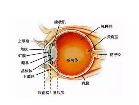 小孩玩具太陽鏡能防曬嗎 給孩子買玩具太陽鏡好不好 小孩玩具太陽鏡能防曬嗎 給孩子買玩具太陽鏡好不好