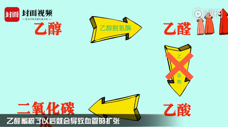 喝酒上臉和基因有關系嗎 喝酒上臉的人能多喝酒嗎 喝酒上臉和基因有關系嗎 喝酒上臉的人能多喝酒嗎