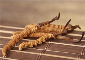 冬蟲夏草可以生吃嗎 冬蟲夏草怎么吃食用方法