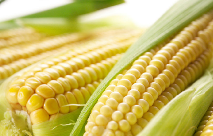 孩子夏天沒有胃口怎么辦 夏季如何增加孩子食欲2018