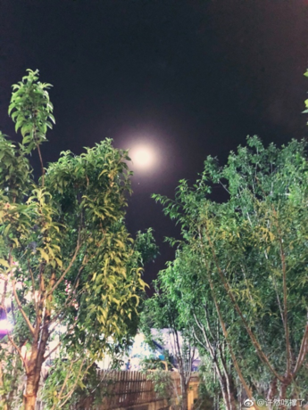 六月你好6月早安心語 6月你好5月再見的心情說說圖片 六月你好6月早安心語 6月你好5月再見的心情說說圖片