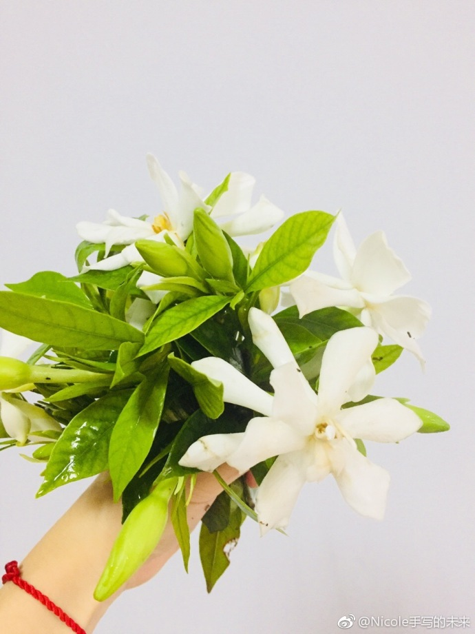 六月你好6月早安心語 6月你好5月再見的心情說說圖片 六月你好6月早安心語 6月你好5月再見的心情說說圖片