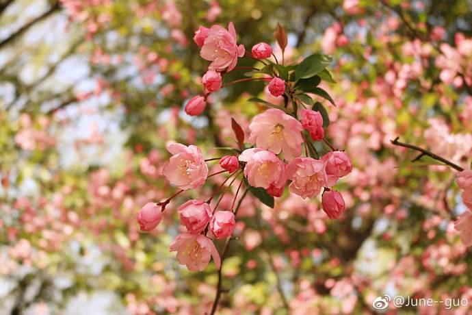 六月你好6月早安心語 6月你好5月再見的心情說說圖片 六月你好6月早安心語 6月你好5月再見的心情說說圖片