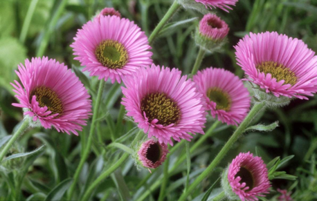 五月過去六月到來的說說 六月份到來的經(jīng)典說說2018 五月過去六月到來的說說 六月份到來的經(jīng)典說說2018