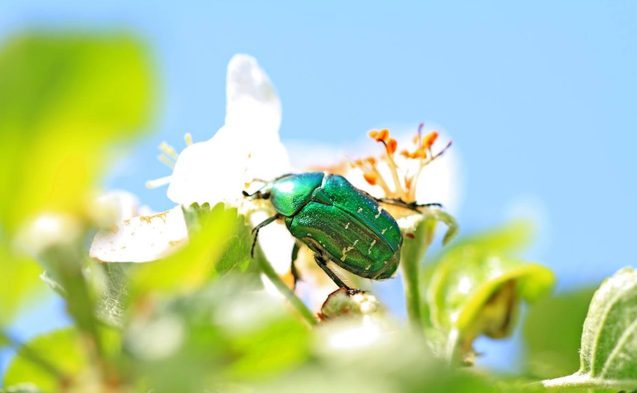 五月過去六月到來的說說 六月份到來的經(jīng)典說說2018 五月過去六月到來的說說 六月份到來的經(jīng)典說說2018