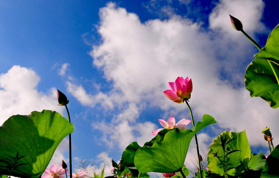 五月過去六月到來的說說 六月份到來的經(jīng)典說說2018 五月過去六月到來的說說 六月份到來的經(jīng)典說說2018