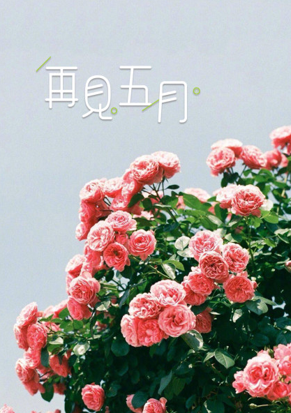 5月再見的說說心情圖片 期待6月的句子短語感慨