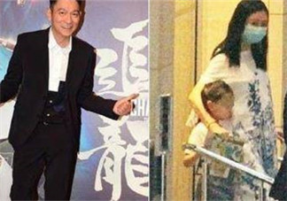 朱麗倩懷孕幾個月了 劉德華可能要再次當爸