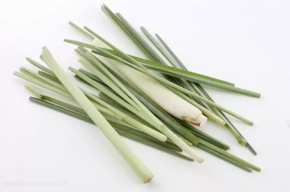 Vape未來驅蚊止汗噴霧藍色和粉色有什么區別 甜馨同款Vape未來驅蚊止汗噴霧測評