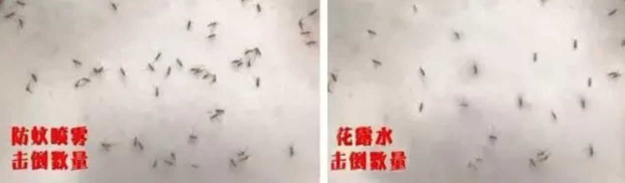 Vape未來驅蚊止汗噴霧藍色和粉色有什么區別 甜馨同款Vape未來驅蚊止汗噴霧測評