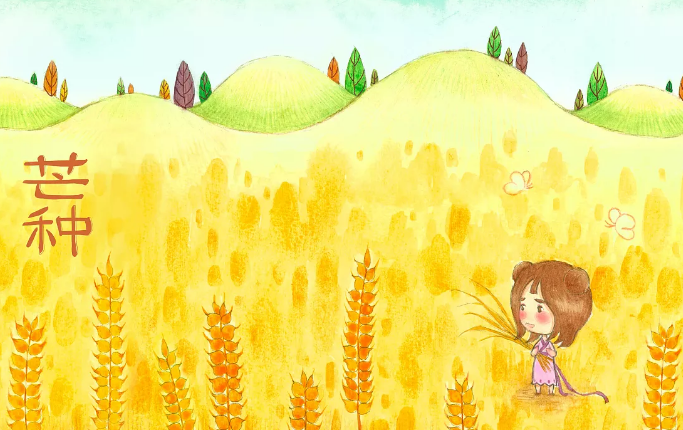芒種開了鏟什么意思 給孩子講芒種的由來和風俗