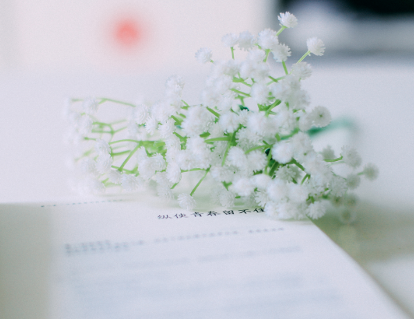 盛夏你好的心情說說 描寫盛夏的唯美句子短語