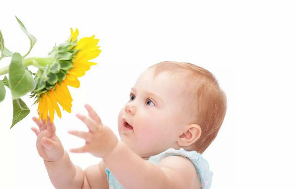 寶寶過敏性氣喘有哪些原因 如何避免過敏性氣喘